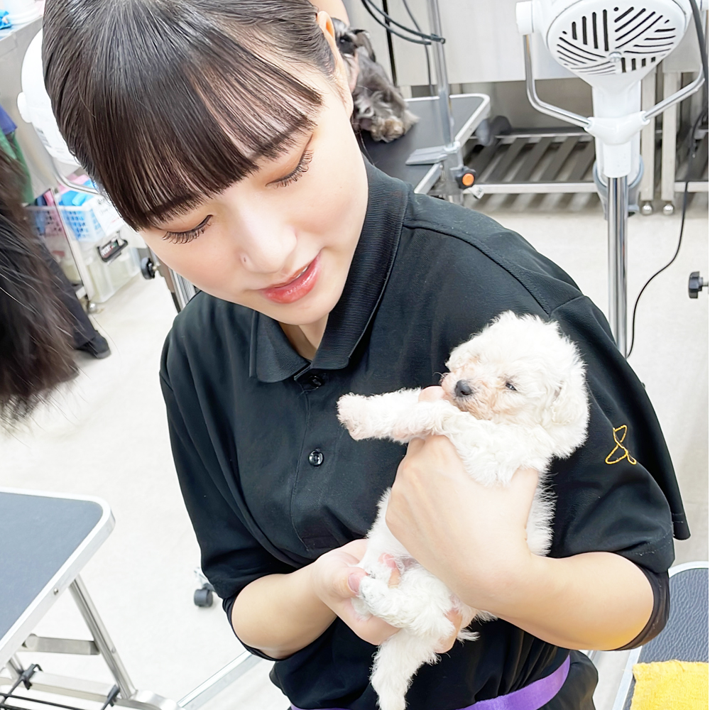 子犬のケアトリミング♪